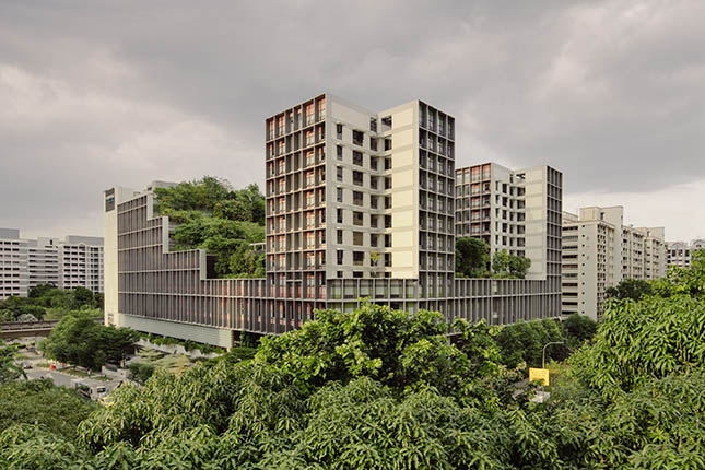 <em>Photo by Khoo Guo Jie</em>